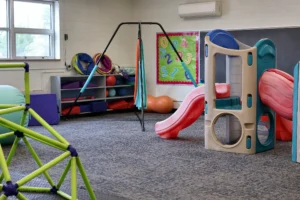 Climbing dome, swings and soft play equipment in the Hand in Hand ABA motor room