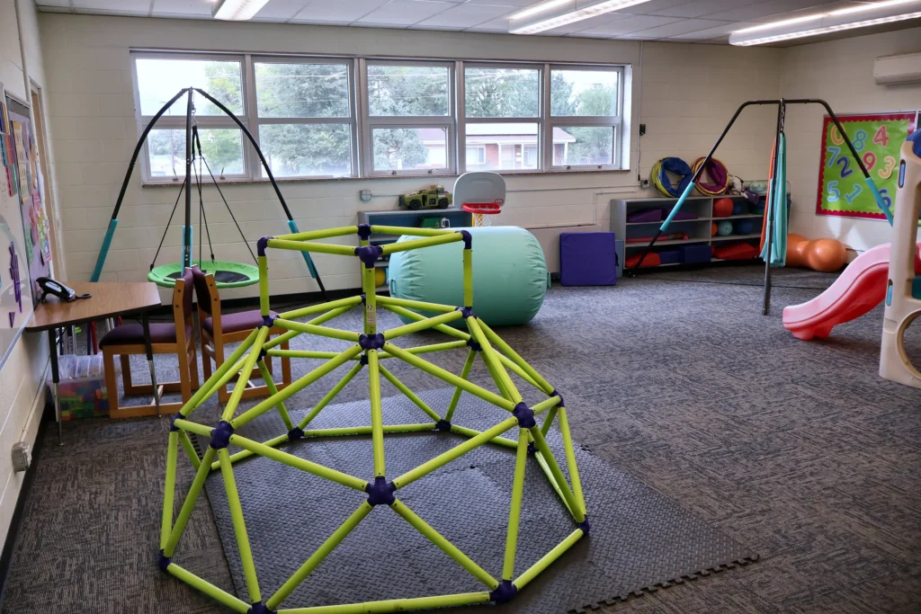 Therapy swings and climbing dome in the Hand in Hand ABA motor room