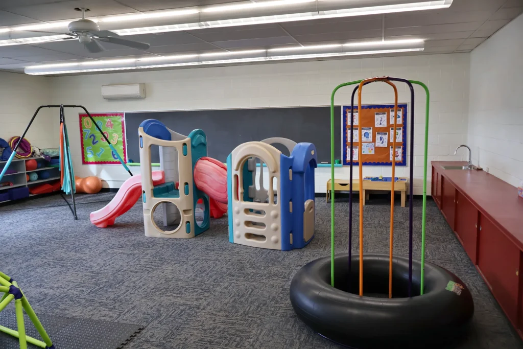 Wide view of the Hand in Hand ABA gross motor room with swings and climbing equipment